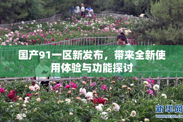 国产91一区新发布，带来全新使用体验与功能探讨