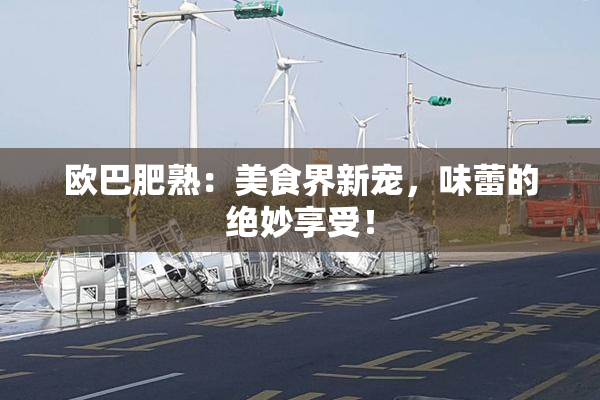 欧巴肥熟：美食界新宠，味蕾的绝妙享受！