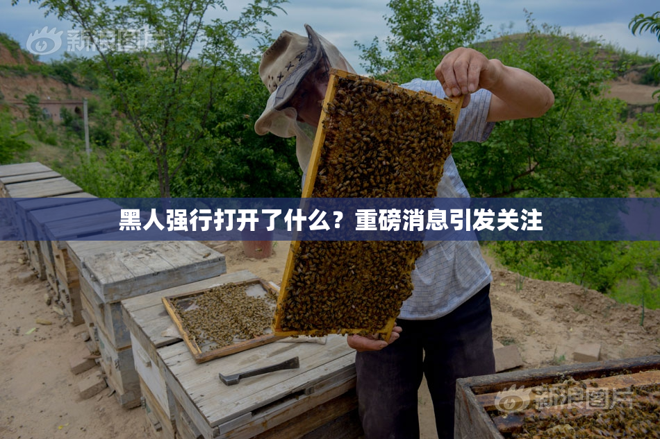 黑人强行打开了什么？重磅消息引发关注