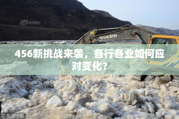 456新挑战来袭，各行各业如何应对变化？