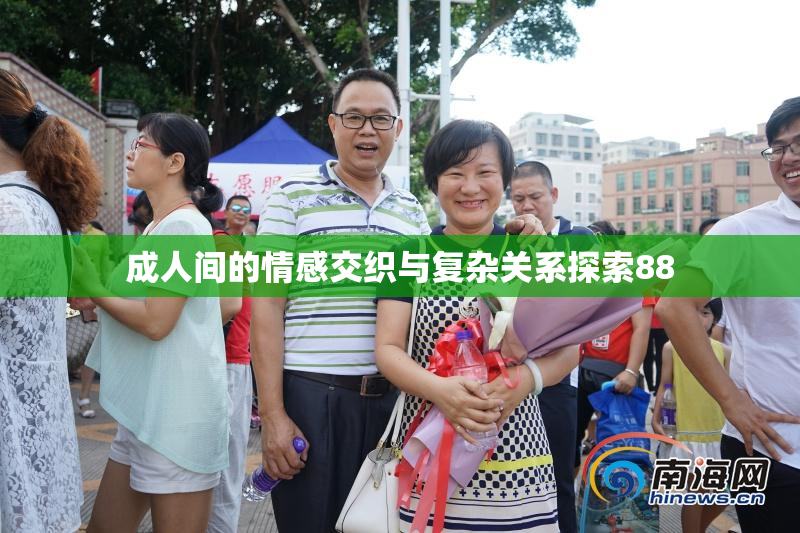 成人间的情感交织与复杂关系探索88