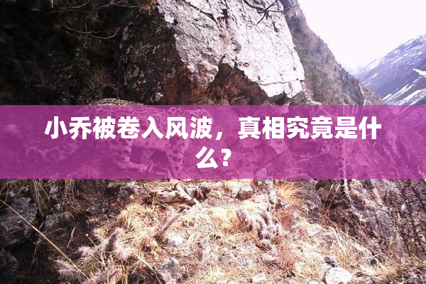 小乔被卷入风波，真相究竟是什么？