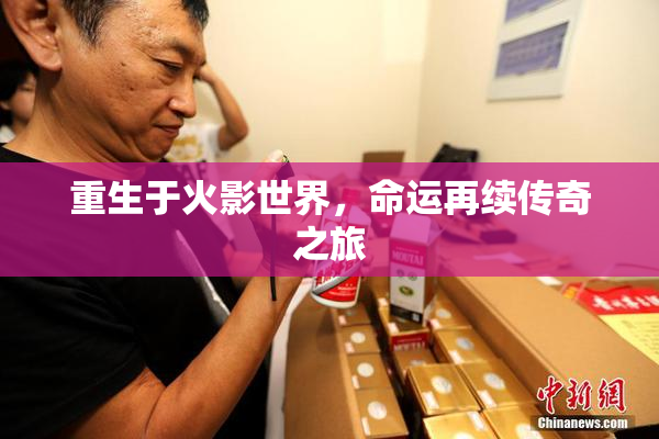 重生于火影世界，命运再续传奇之旅