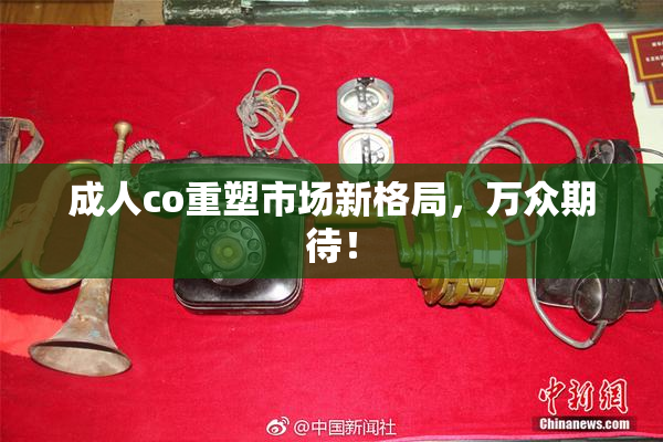成人co重塑市场新格局，万众期待！