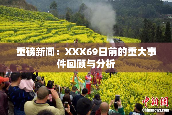 重磅新闻：XXX69日前的重大事件回顾与分析