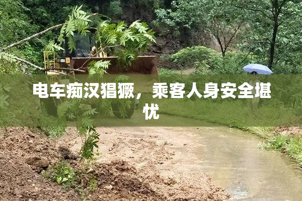 电车痴汉猖獗，乘客人身安全堪忧
