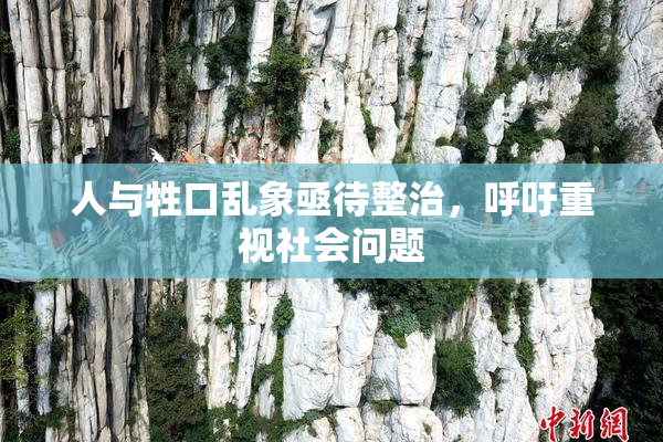 人与牲口乱象亟待整治，呼吁重视社会问题