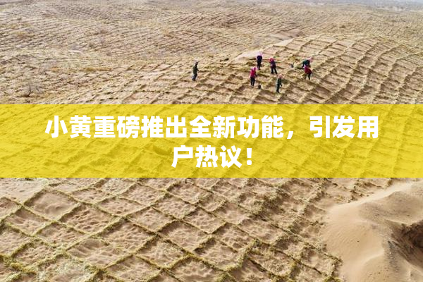 小黄重磅推出全新功能，引发用户热议！