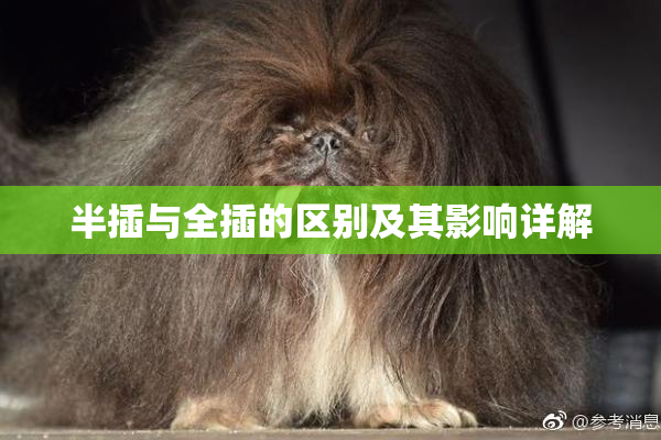 半插与全插的区别及其影响详解