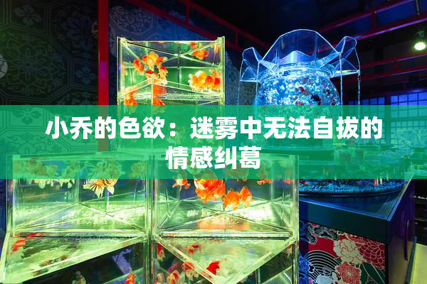 小乔的色欲：迷雾中无法自拔的情感纠葛