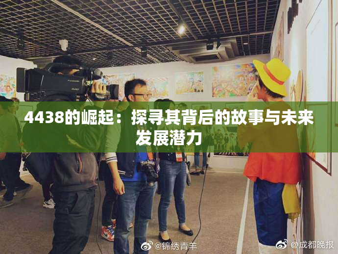 4438的崛起：探寻其背后的故事与未来发展潜力