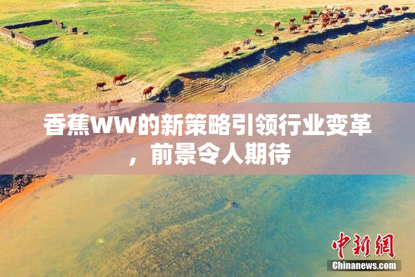 香蕉WW的新策略引领行业变革，前景令人期待