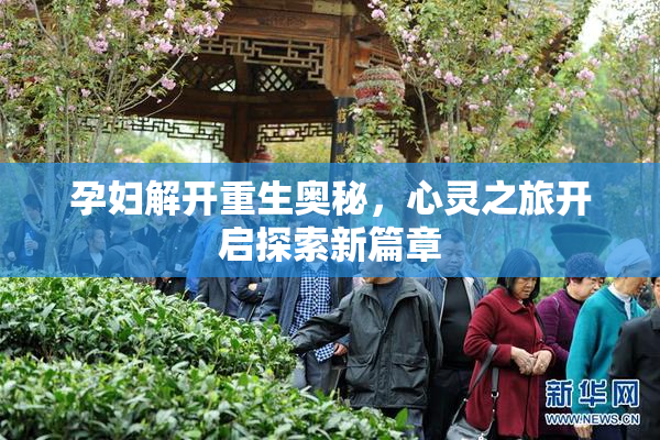 孕妇解开重生奥秘，心灵之旅开启探索新篇章