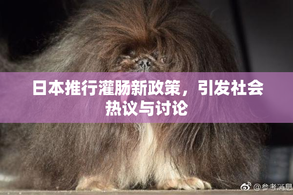 日本推行灌肠新政策，引发社会热议与讨论