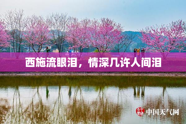 西施流眼泪，情深几许人间泪