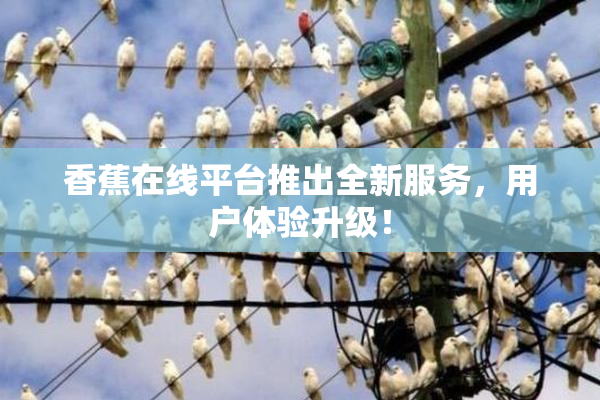 香蕉在线平台推出全新服务，用户体验升级！