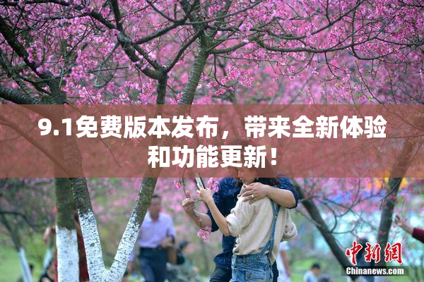 9.1免费版本发布，带来全新体验和功能更新！