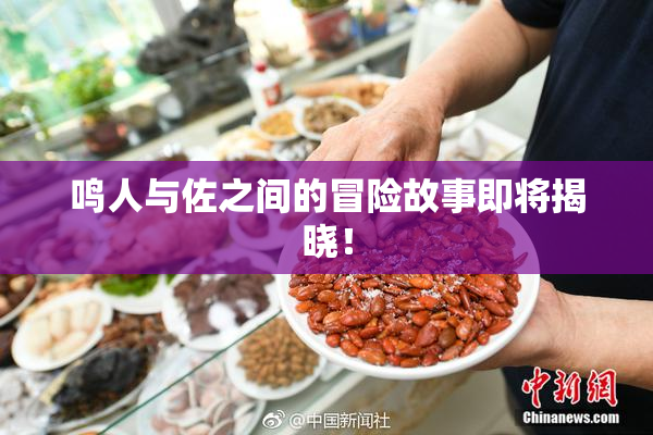 鸣人与佐之间的冒险故事即将揭晓！