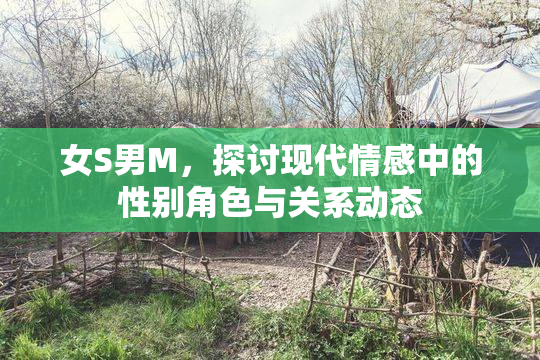 女S男M，探讨现代情感中的性别角色与关系动态