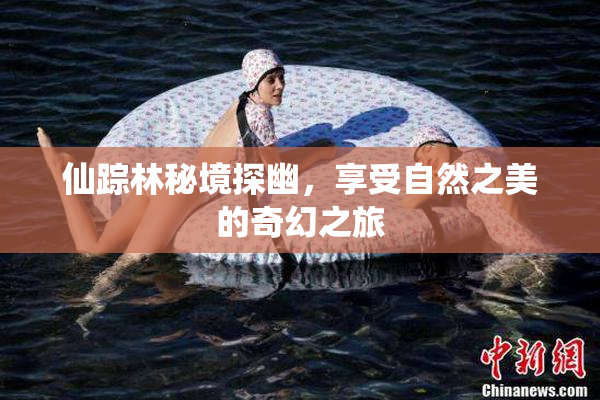 仙踪林秘境探幽，享受自然之美的奇幻之旅