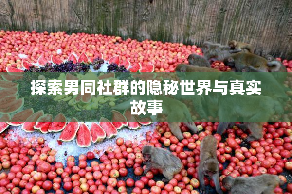 探索男同社群的隐秘世界与真实故事