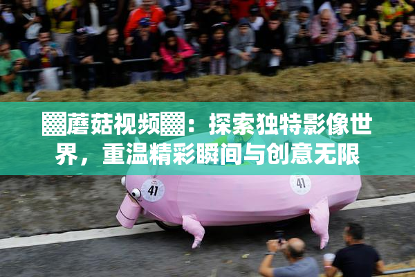 ▓蘑菇视频▓：探索独特影像世界，重温精彩瞬间与创意无限