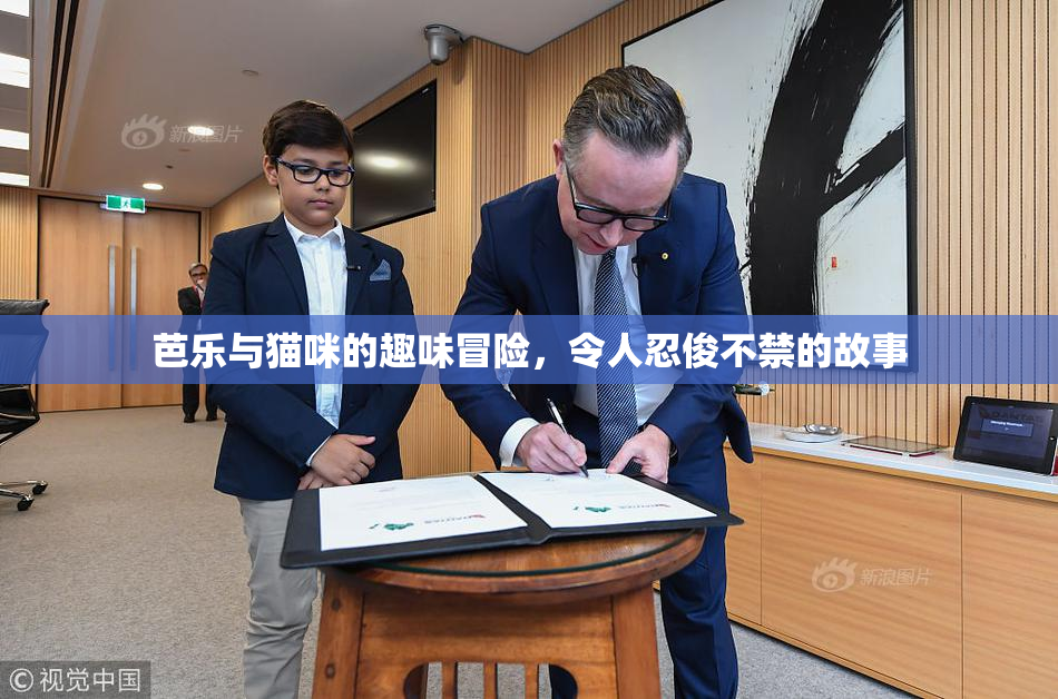 芭乐与猫咪的趣味冒险，令人忍俊不禁的故事