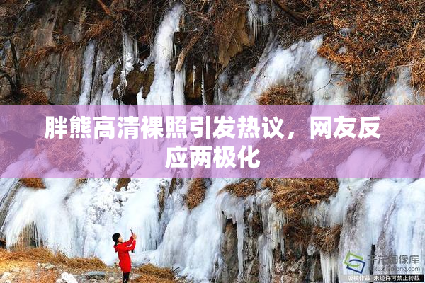 胖熊高清裸照引发热议，网友反应两极化