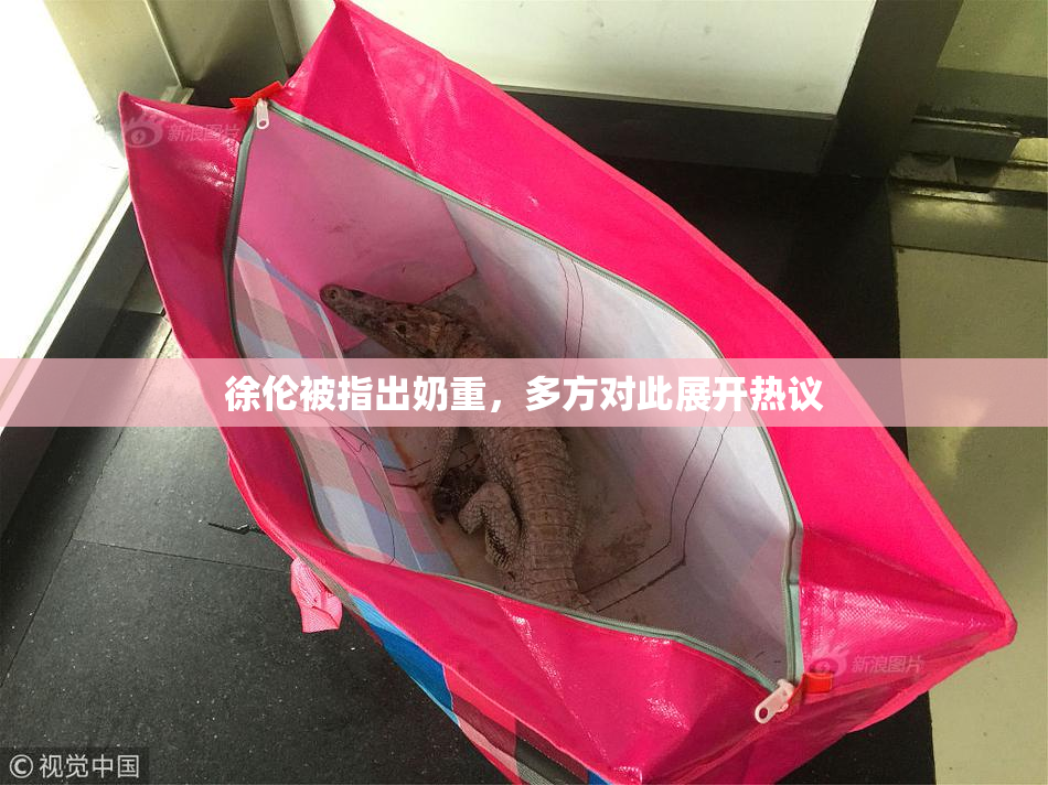 徐伦被指出奶重，多方对此展开热议