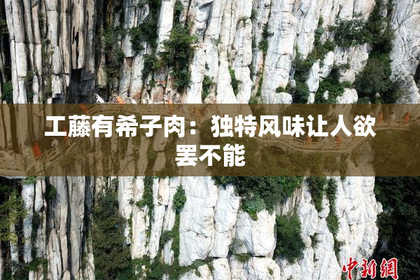 工藤有希子肉：独特风味让人欲罢不能