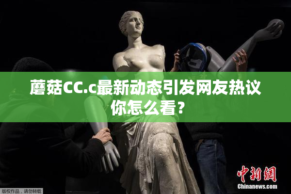 蘑菇CC.c最新动态引发网友热议 你怎么看？
