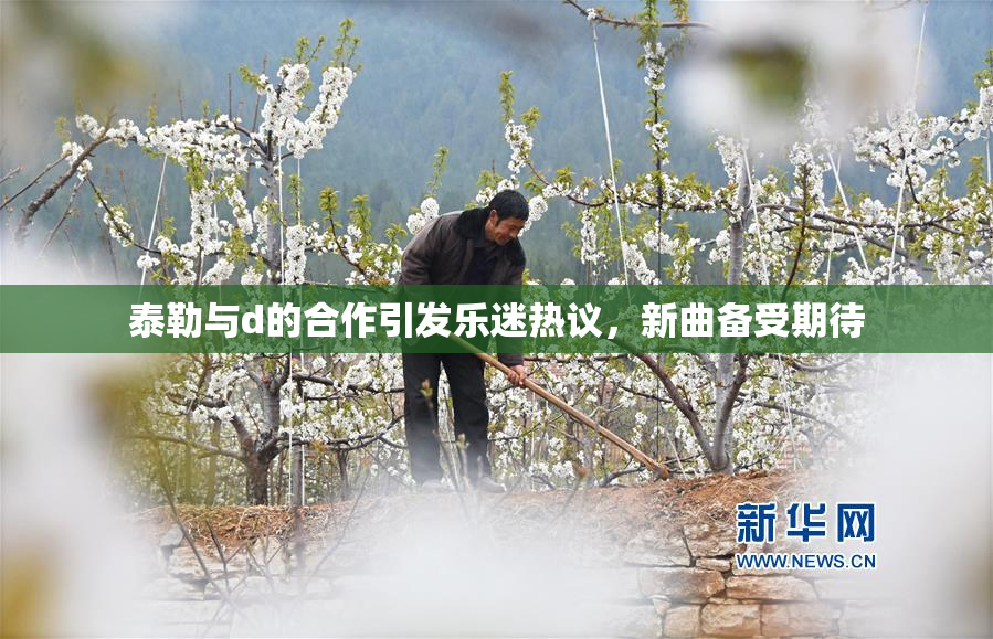 泰勒与d的合作引发乐迷热议，新曲备受期待