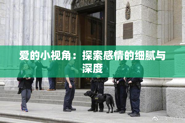 爱的小视角：探索感情的细腻与深度