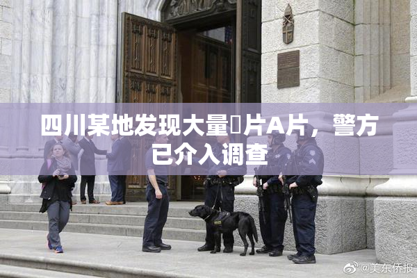 四川某地发现大量婬片A片，警方已介入调查