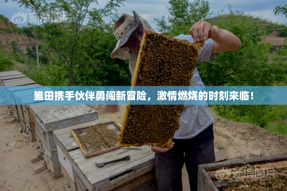 雏田携手伙伴勇闯新冒险，激情燃烧的时刻来临！