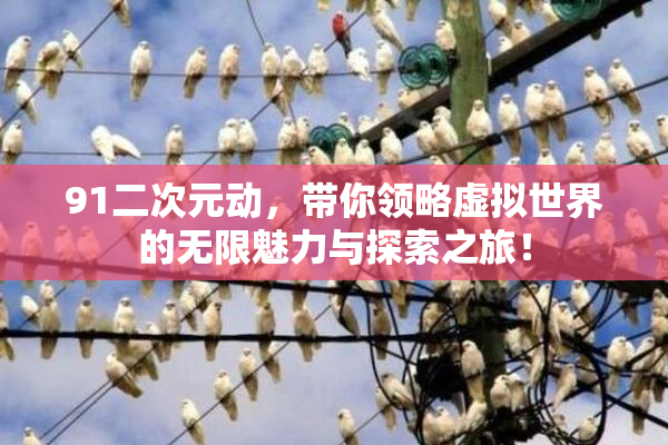 91二次元动，带你领略虚拟世界的无限魅力与探索之旅！