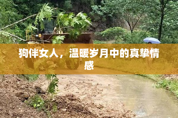 狗伴女人，温暖岁月中的真挚情感