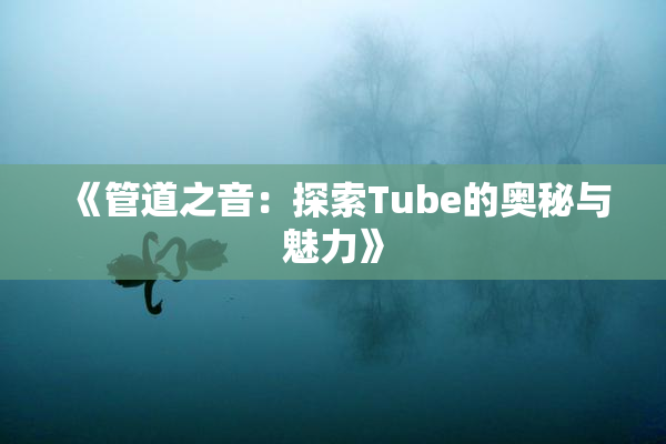 《管道之音：探索Tube的奥秘与魅力》