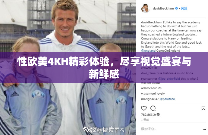 性欧美4KH精彩体验，尽享视觉盛宴与新鲜感