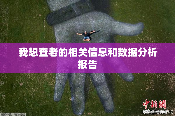 我想查老的相关信息和数据分析报告