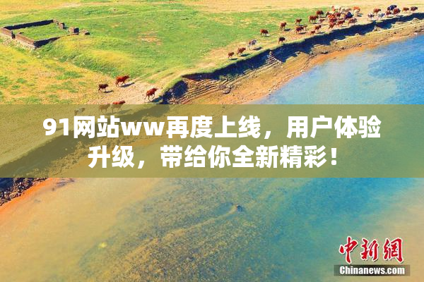 91网站ww再度上线，用户体验升级，带给你全新精彩！