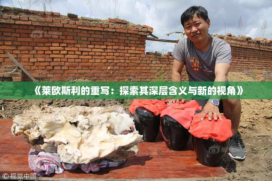 《莱欧斯利的重写：探索其深层含义与新的视角》