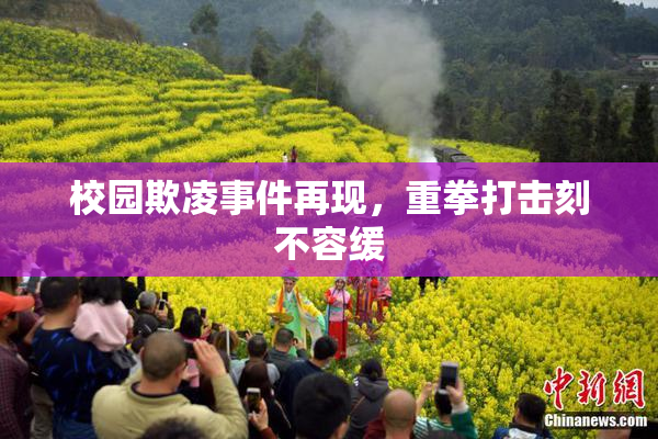 校园欺凌事件再现，重拳打击刻不容缓