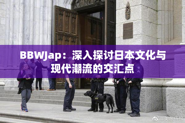 BBWJap：深入探讨日本文化与现代潮流的交汇点
