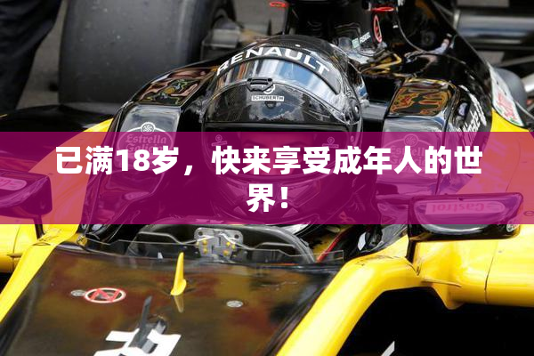 已满18岁，快来享受成年人的世界！