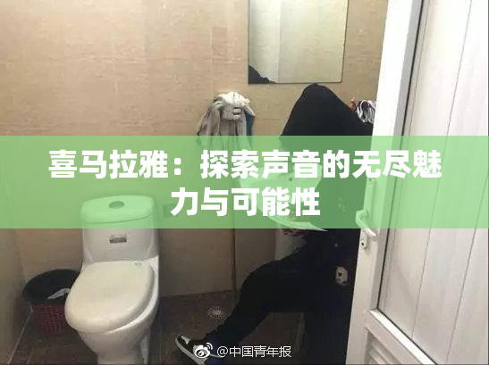 喜马拉雅：探索声音的无尽魅力与可能性