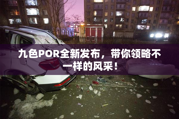 九色POR全新发布，带你领略不一样的风采！
