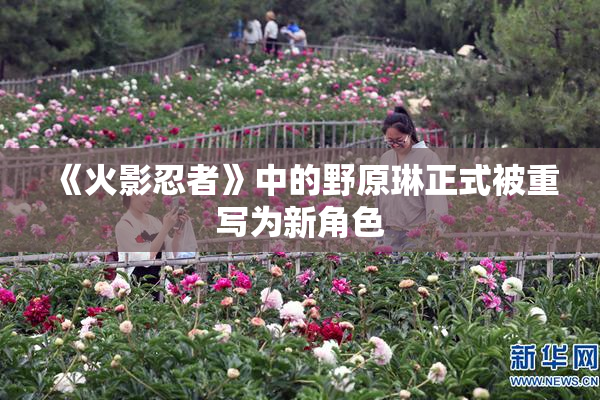 《火影忍者》中的野原琳正式被重写为新角色