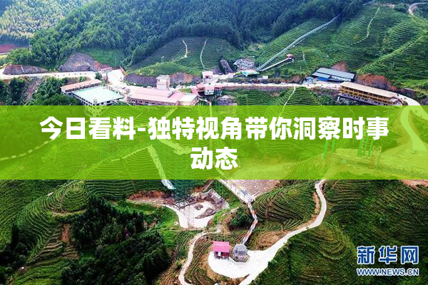 今日看料-独特视角带你洞察时事动态