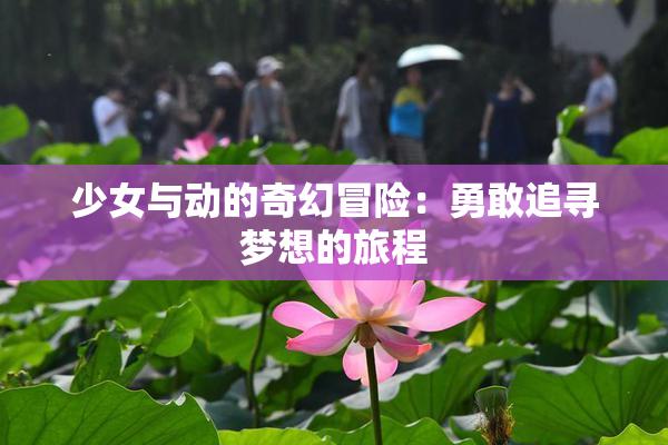 少女与动的奇幻冒险：勇敢追寻梦想的旅程